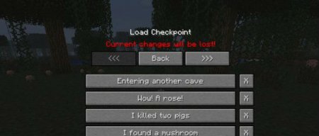  Checkpoints [1.4.7] 