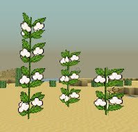  Desert Cotton Plant [1.4.7] 