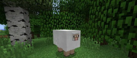  Derpy Sheep Mod [1.5] 
