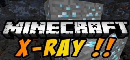  X-Ray and Fly [1.5.1] 