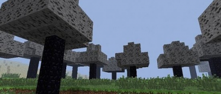  CoalBiom  Minecraft 1.6.2