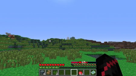   Health Charms  minecraft 1.6.4