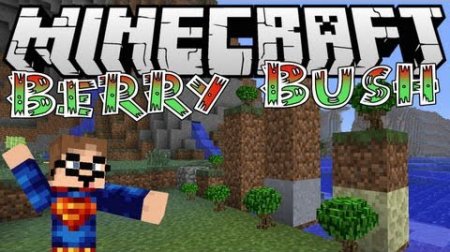   BerryBush  minecraft 1.6.4