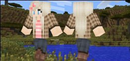   Country Girl  minecraft