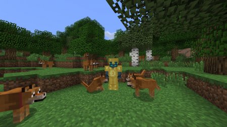  Doge Mod  minecraft 1.6.4