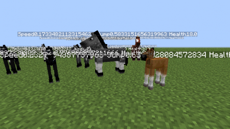  HorseData  minecraft 1.6.4