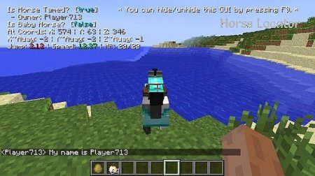  Horse Locator  Minecraft 1.7.2