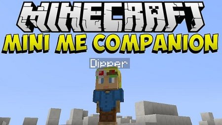  Mini Me Companion  minecraft