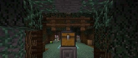   Crawler descent  minecraft