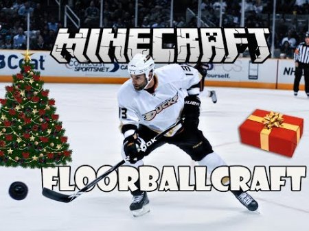  FloorBallCraft  minecraft 1.7.10