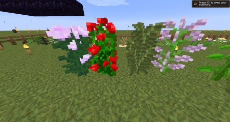  Blocks3D  Minecraft 1.7.10