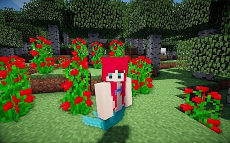  Mermaid Tail  Minecraft 1.7.10