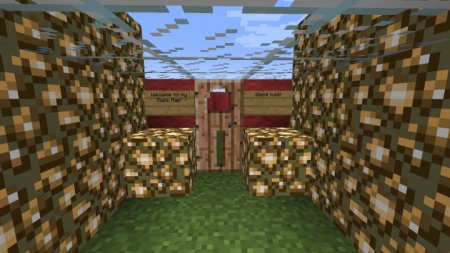  Fun Maze  Minecraft