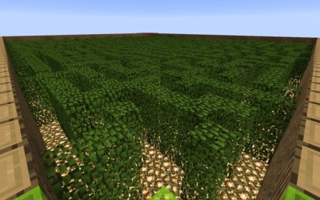  Leaf Maze [Difficulty - Hard]  Minecraft