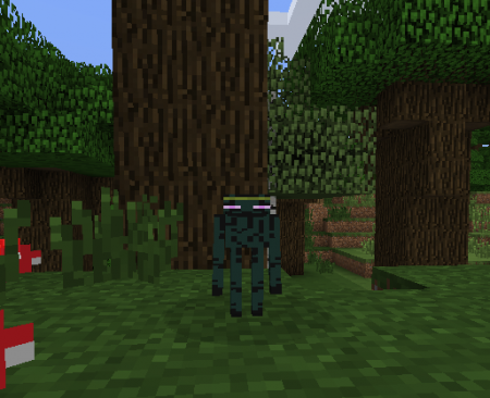  Ender Zoo  Minecraft 1.8