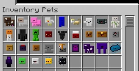  Inventory Pets  Minecraft 1.7.10