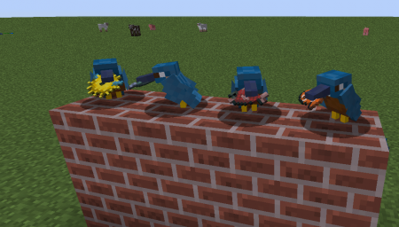  Exotic Birds  Minecraft 1.8