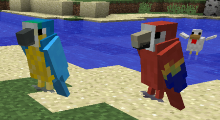  Exotic Birds  Minecraft 1.8