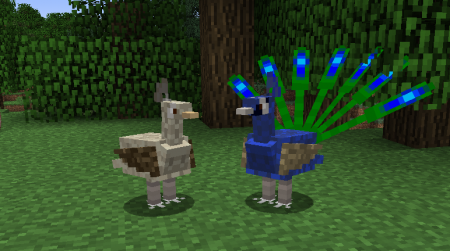  Exotic Birds  Minecraft 1.8