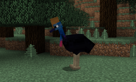  Exotic Birds  Minecraft 1.8