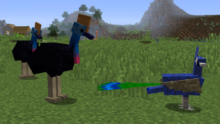  Exotic Birds  Minecraft 1.8