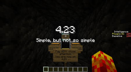  4.23 Puzzle  Minecraft