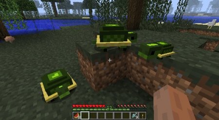  Pet Turtles  Minecraft 1.7.10