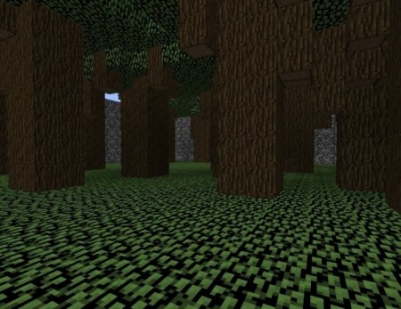  Forest Fire  Minecraft