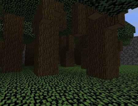  Forest Fire  Minecraft