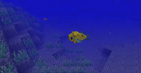  Just a Few Fish  Minecraft 1.8.9