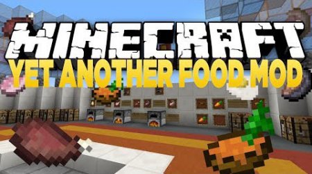  Yet Another Food  Minecraft 1.8.9