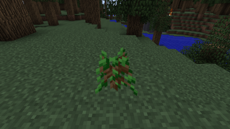  Auto Sapling  Minecraft 1.8.9