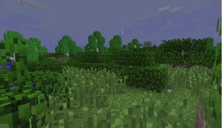  Dynamic Surroundings  Minecraft 1.8.9