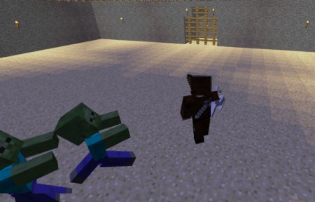  The Minecraft Challenges  Minecraft 1.8.9