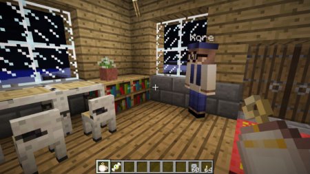  Village Box  Minecraft 1.8.9