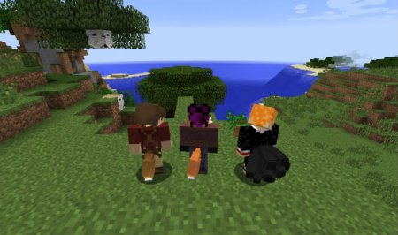  Tails  Minecraft 1.8.9