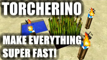  Torcherino  Minecraft 1.8.9