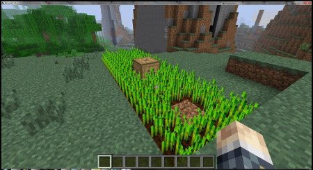  Totemic  Minecraft 1.8.9