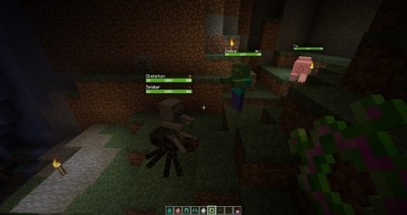  Neat  Minecraft 1.9.4