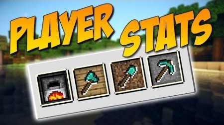  Player Stats  Minecraft 1.9.4