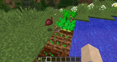  Reap  Minecraft 1.9