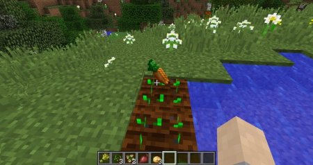  Reap  Minecraft 1.9