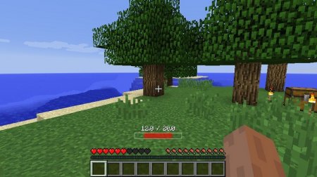  Health Bar  Minecraft 1.9