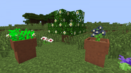  Druidry  Minecraft 1.10.2