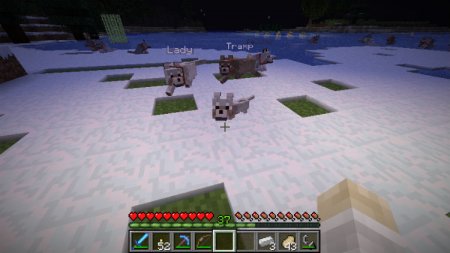  Sophisticated Wolves  Minecraft 1.9.4