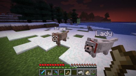  Sophisticated Wolves  Minecraft 1.9.4