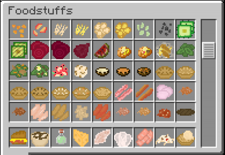  Birds Foods  Minecraft 1.10.2