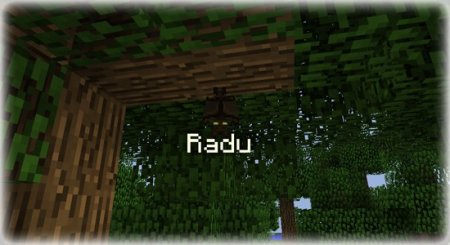  Pet Bat  Minecraft 1.10.2