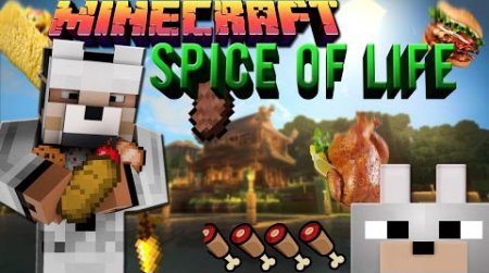  The Spice Of Life  Minecraft 1.11.2