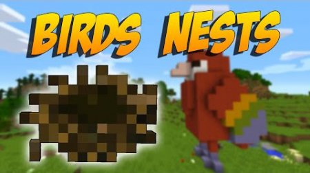  Birds Nests  Minecraft 1.11.2